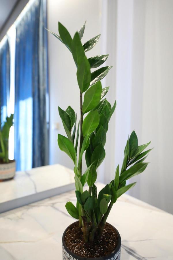 Ulcas Guest Huse Bed & Breakfast Vlore Luaran gambar